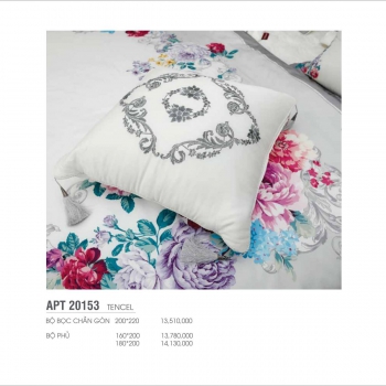 Bộ Artemis APT 20153