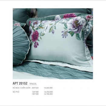 Bộ Artemis APT 20152
