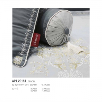 Bộ Artemis APT20151