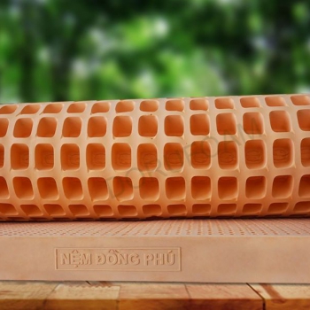 Nệm cao su Đồng Phú