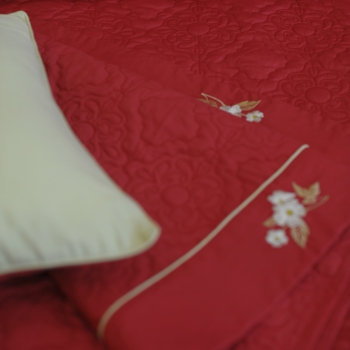 Bộ Everon ESM19014