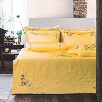 Bộ Everon ESM19013