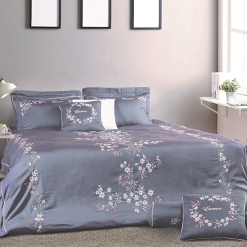 Bộ Everon ESM19012