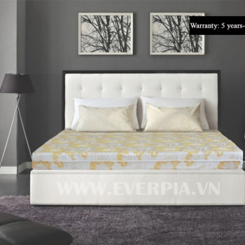 Nệm than hoạt tính Everon