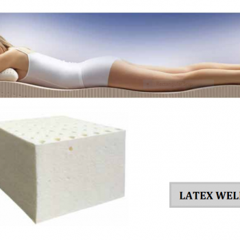 Nệm cao su Latex Wellness