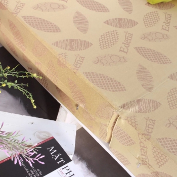 Nệm bông ép gấp 3 Edena