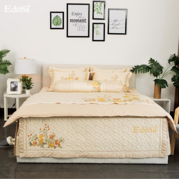 Edena ED527