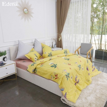 Bộ Edena Basic Cotton 2004