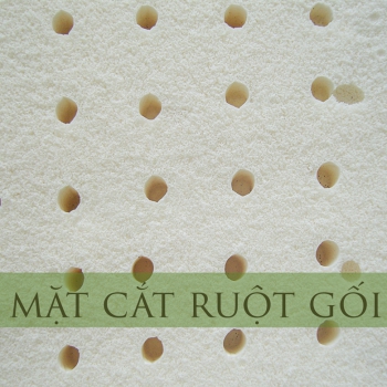 Gối ôm cao su Bolster Vạn Thành