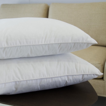 Ruột Gối Edena Ball