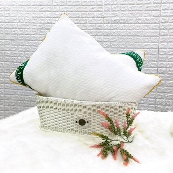 Ruột Gối Edena Deluxe