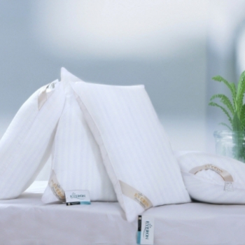 Ruột Gối Nằm Everon Ceramic