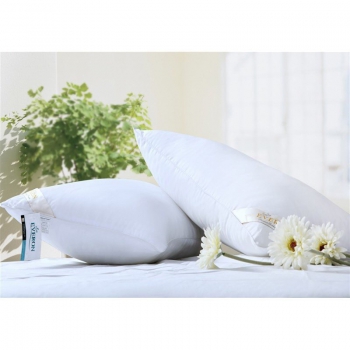 Ruột Gối Nằm Everon EP White