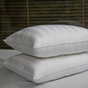 Ruột Gối Tơ Tằm Edena