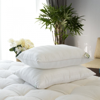 Ruột Gối Tơ Tằm Edena