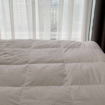 Topper Everon Lông Vũ