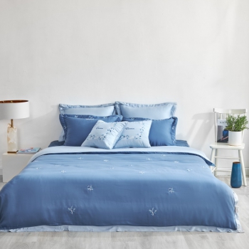 Bộ Everon EPT21037