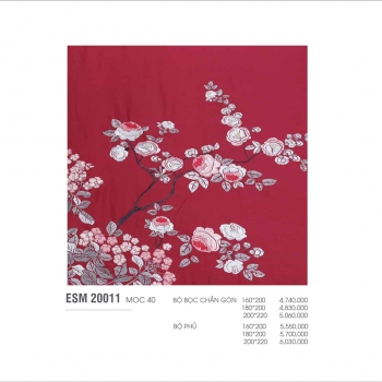 Bộ Everon ESM20011